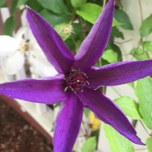 Meet your Posher, Robin